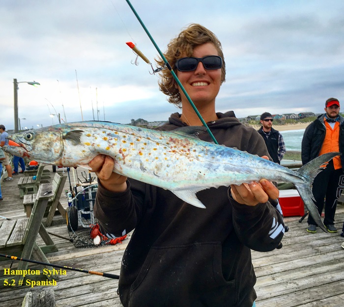 Hampton Sylvia TW's Bait and Tackle