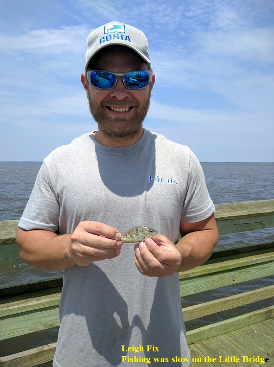 Leigh Fix TW's Bait and Tackle