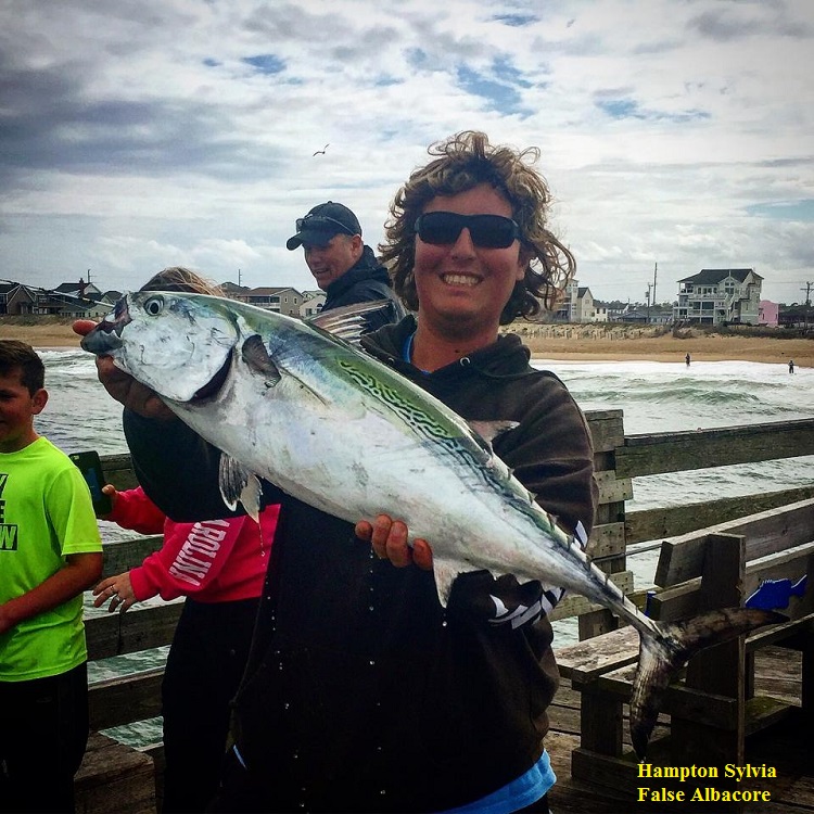 hampton sylvia TW's Bait and Tackle