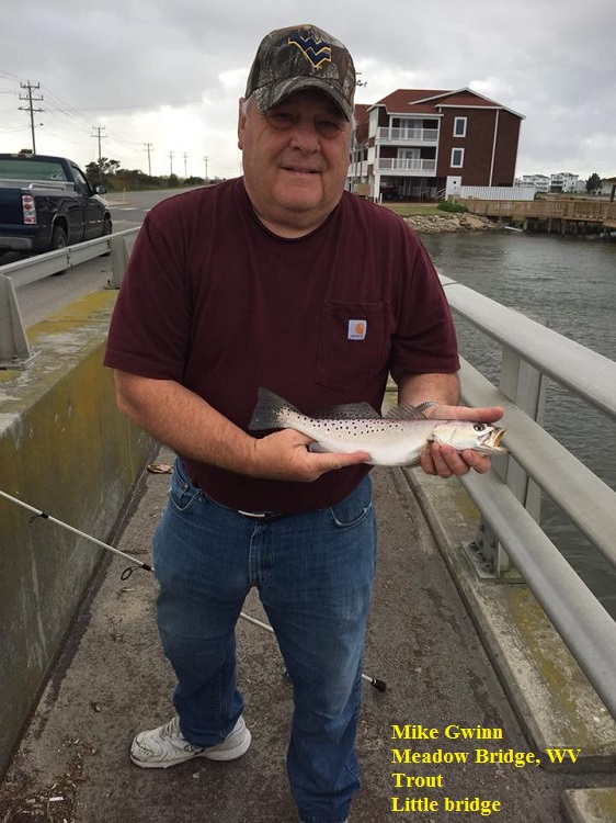 Mike Gwinn TW's Bait and Tackle